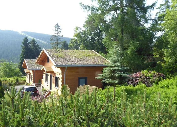 Harz - Blockhaus, 4 Und 5 Sterne Blockhaeuser, Sauna Und Kamin, Rh Goslar